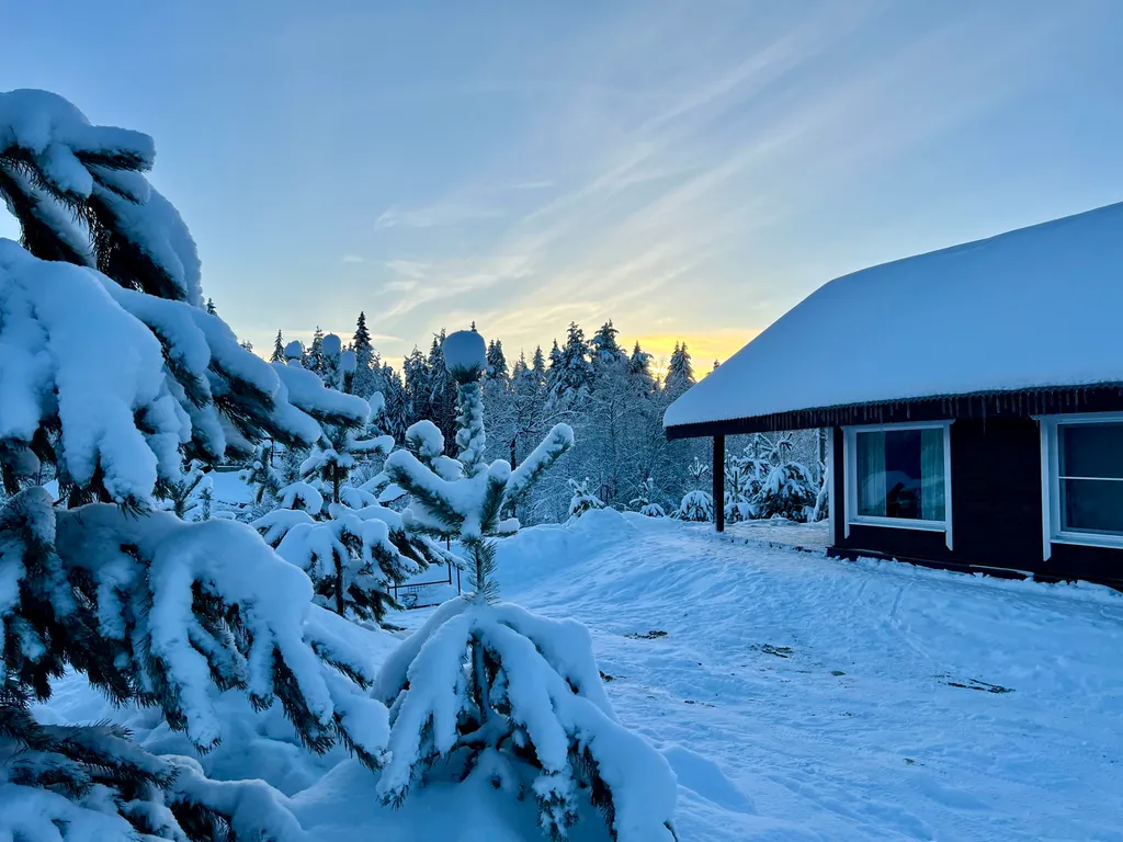 Коттедж с 3 спальнями, сауной, с видом на лес