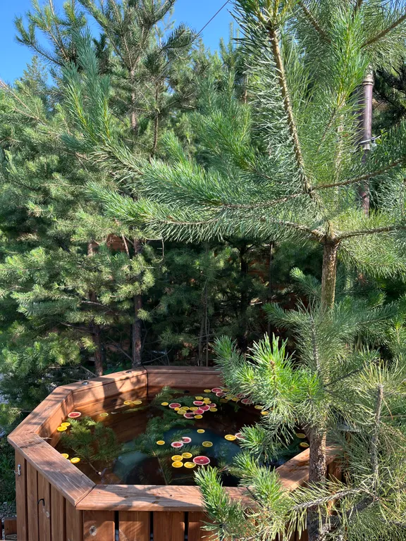 Уютный дом у леса с баней и чаном