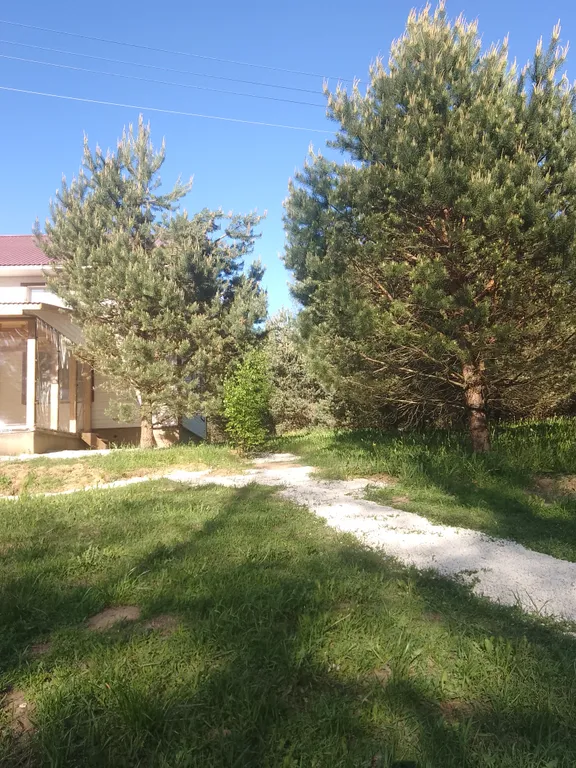 Уютный Таунхаус Хитрый лис