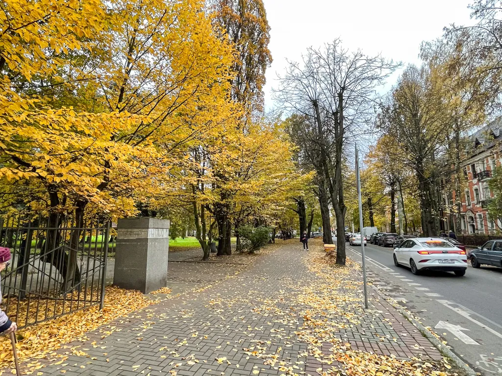 Квартира Уютная квартира в немецком доме в центре города и старинное пианино — Калининград