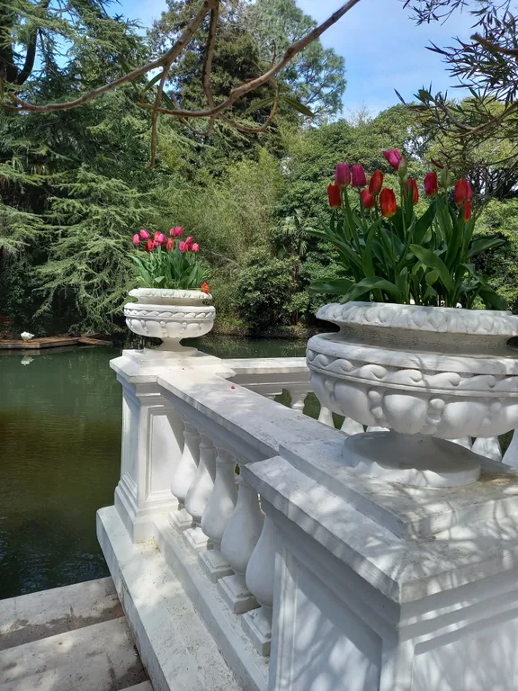 Квартира Комната — Сириус