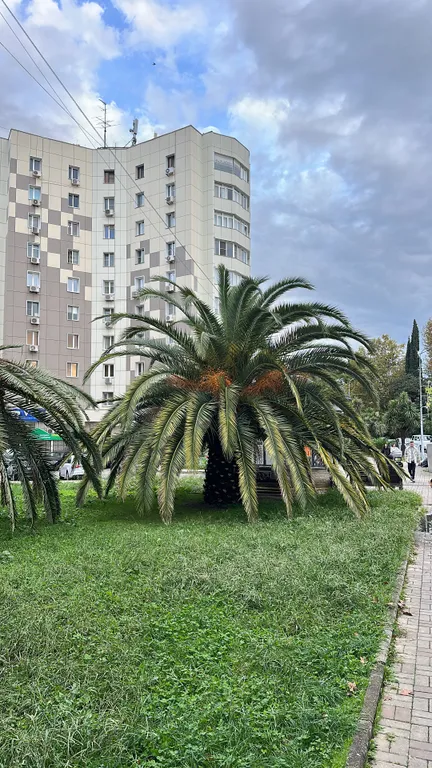 Роскошная студия у моря в самом центре