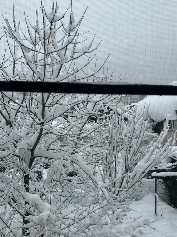 Уютный домик в тихом районе