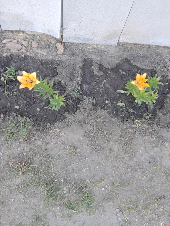 Гостевой домик на Советской рядом река Дон