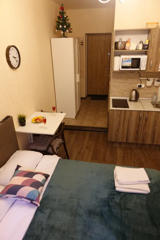 Квартира Квартира Студия на Петроградке — Санкт-Петербург