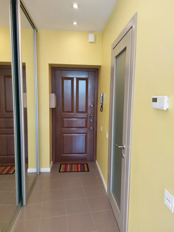 Солнечная студия у леса