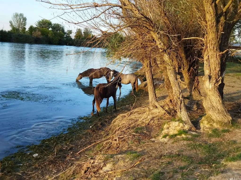 Уютный дом для отдыха