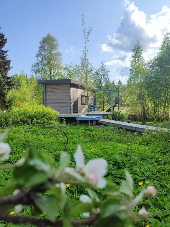 Коттедж Дом Леса — Краснознаменка