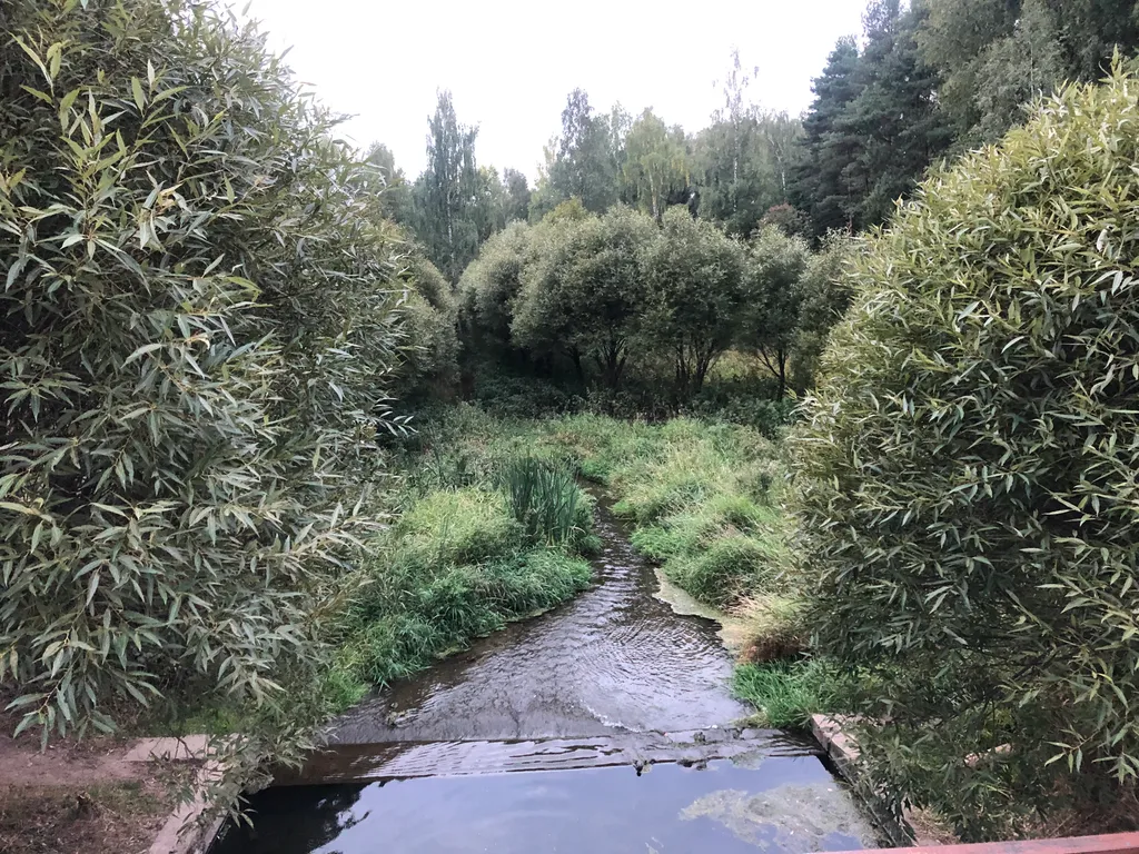 Аленький цветочек