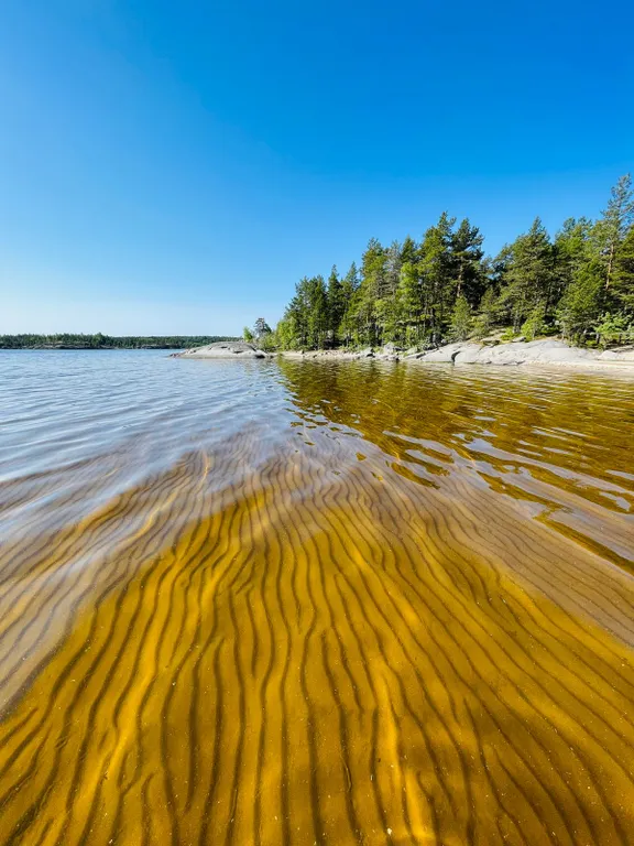 Частный Березовый дом