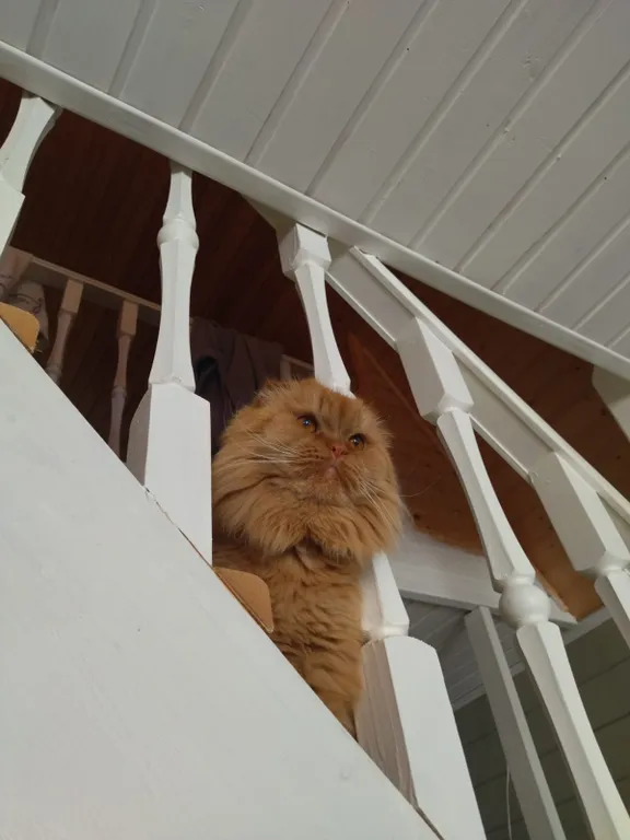 Дом в деревне