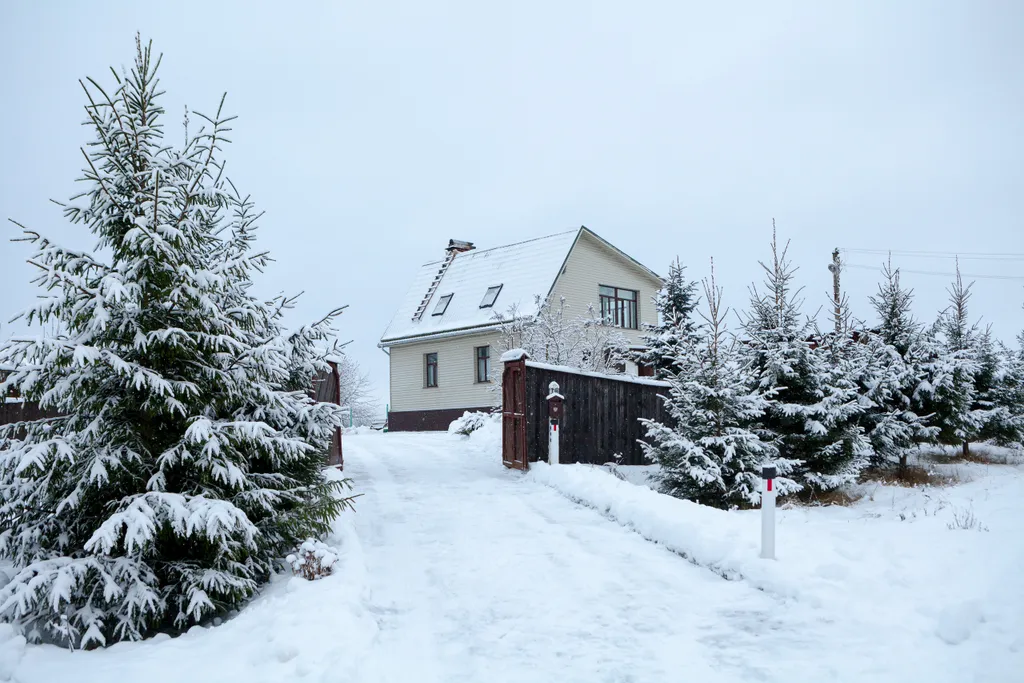 Просторный дом в центре заповедника