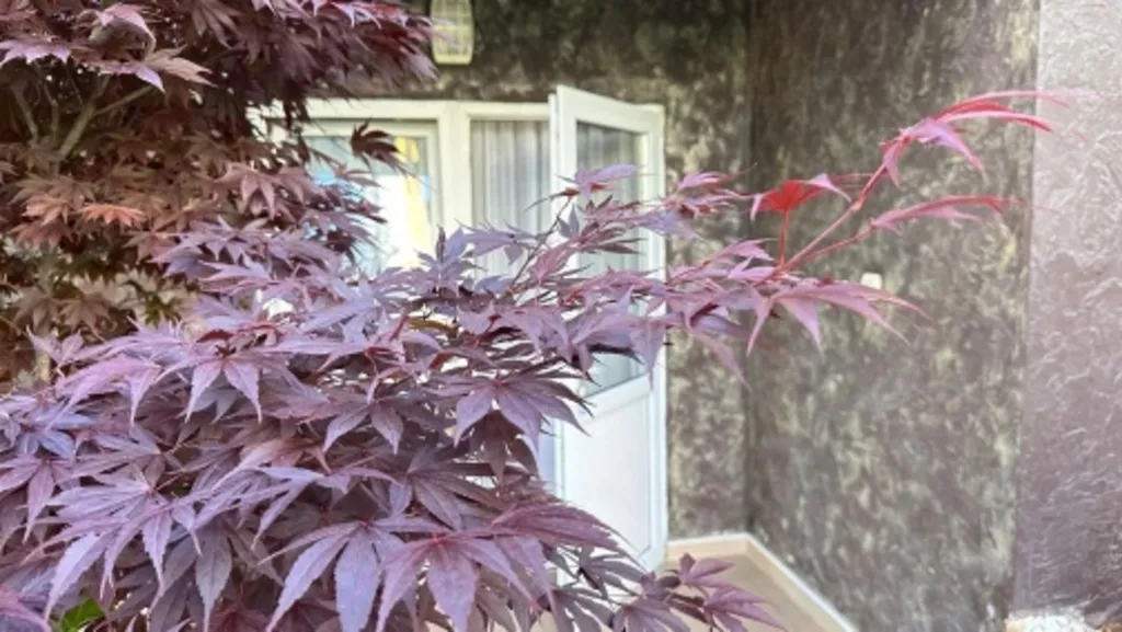 Комната