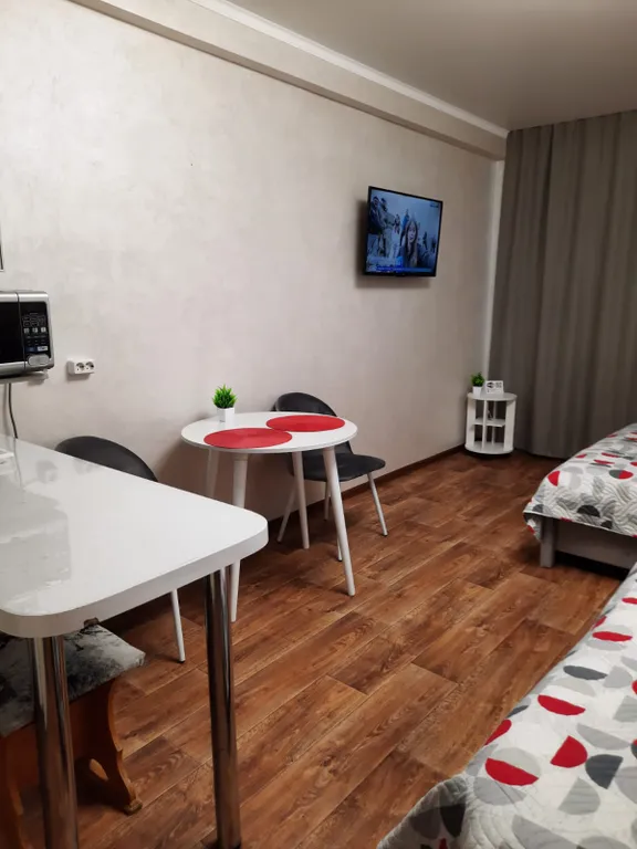 Уютная студия в центре города