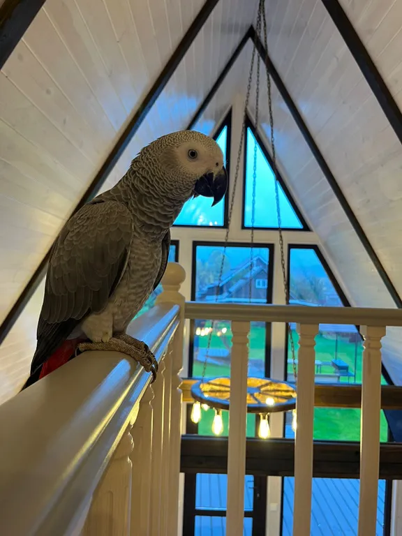 Шестиместный коттедж с изолированным участком 10 соток №1