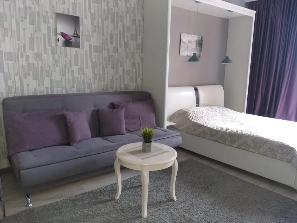 Квартира 1-комнатная Квартира — Светлогорск