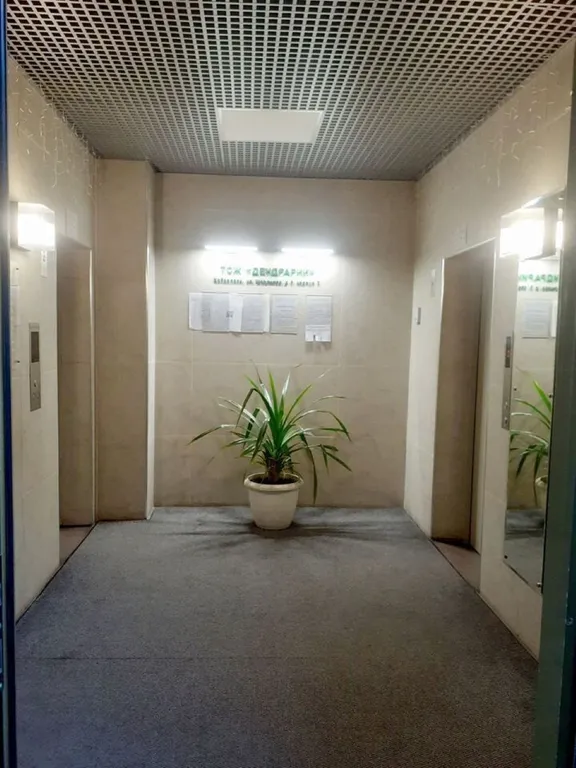 Уютная, видoвая кваpтирa в ЖК Дендрарий