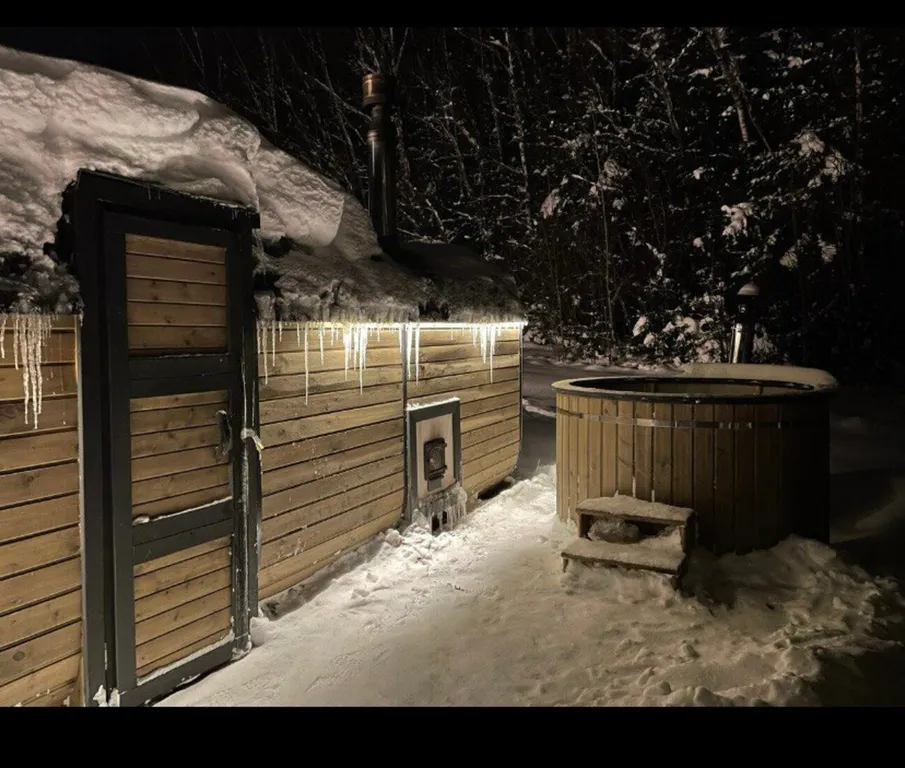 Барн с панорамными окнами с видом на дикий лес