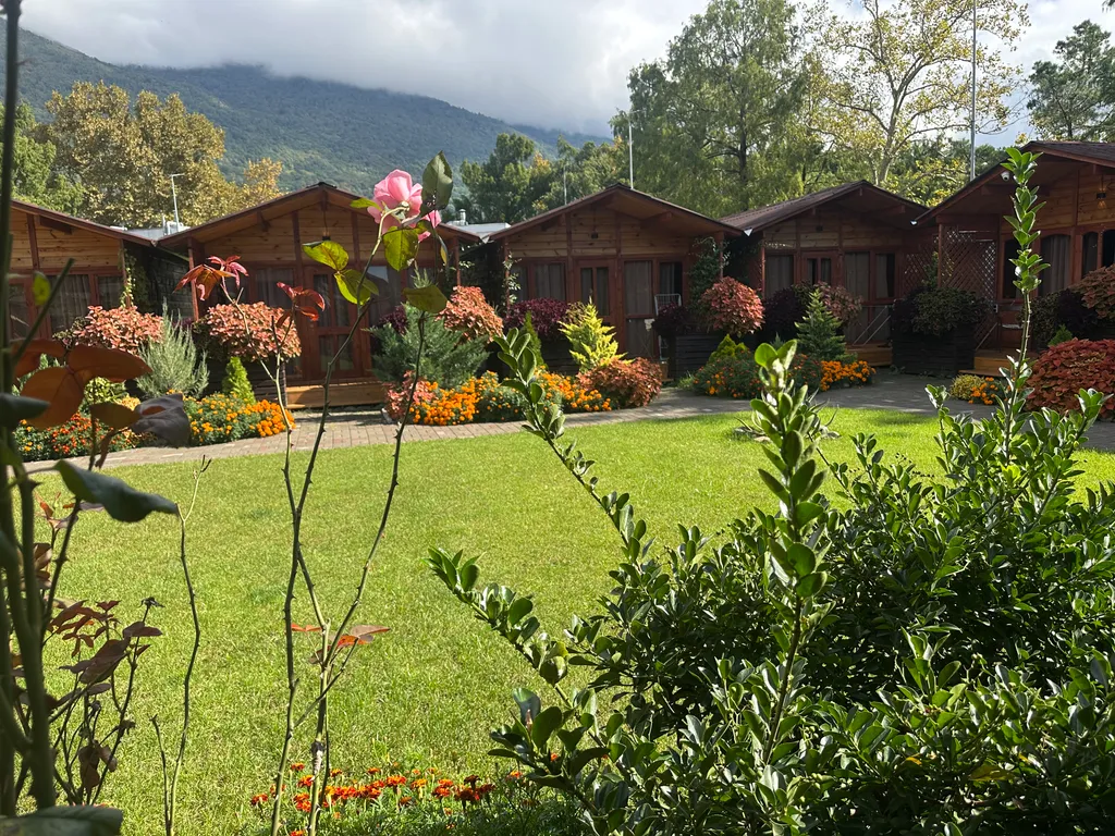 Коттедж 1-комнатный Дом — Гагра