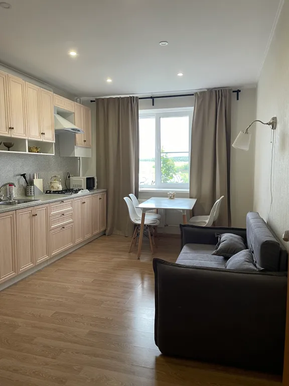 Просторная 1-комнатная квартира рядом с пляжем и отелем Radisson в Завидово