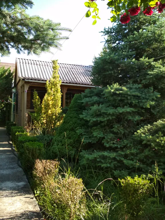 Уютный домик в поселке