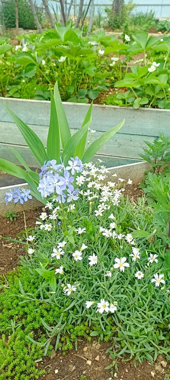 Новая студия у моря на Фиоленте