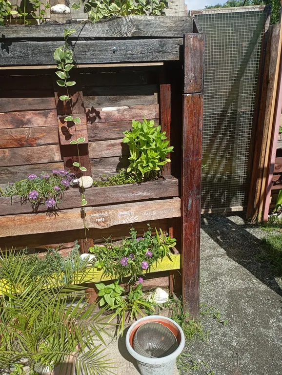 Домик в Адлере