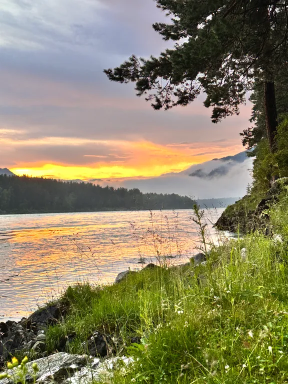 Новый круглогодичный 3-й коттедж на берегу Катуни