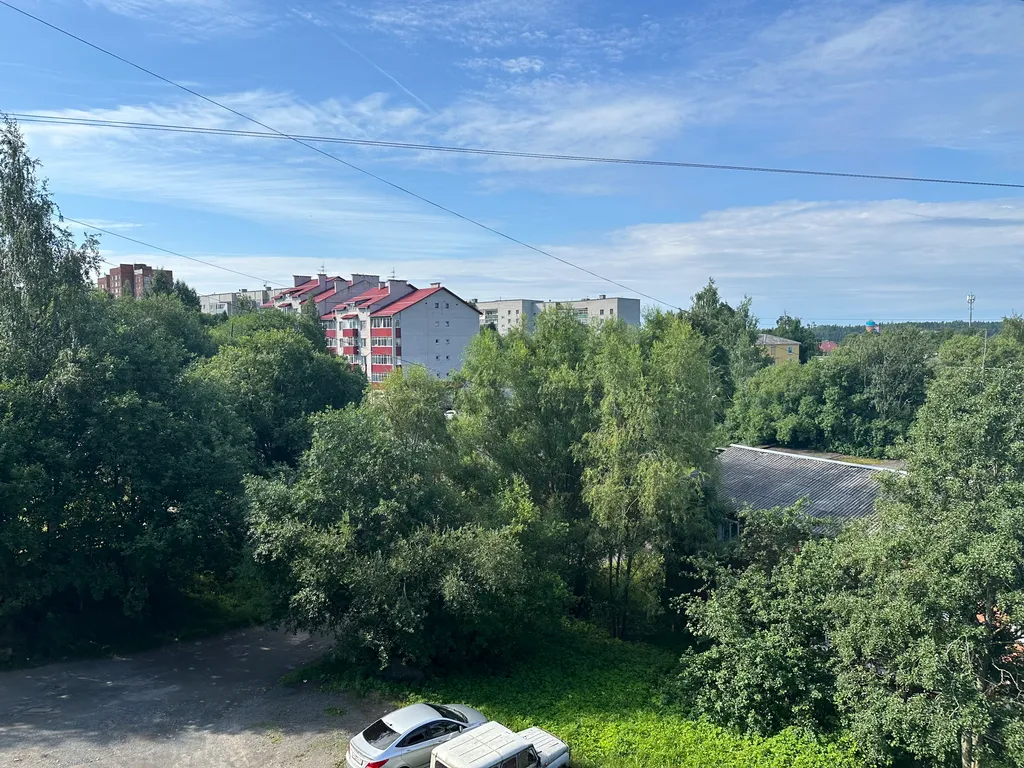 Тихое местечко вблизи леса