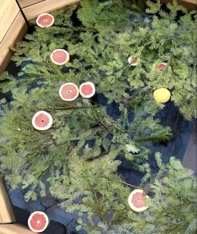 Дом с чаном и баней для 8 гостей