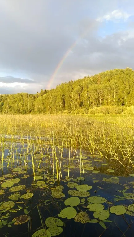Коттедж Коттеджи у озера — Луга