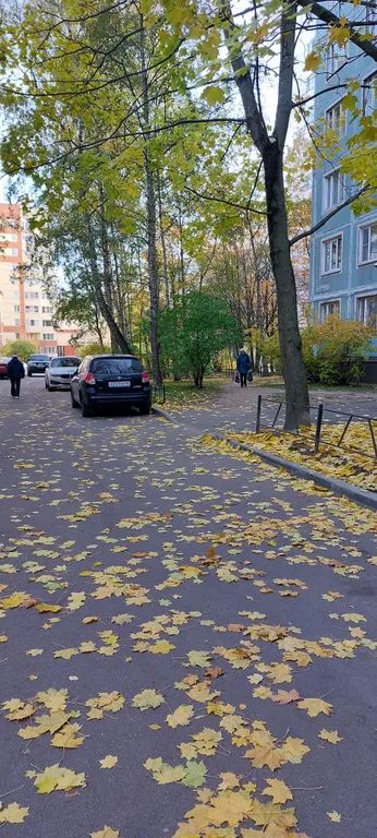 Квартира 2-комнатная Квартира — Санкт-Петербург