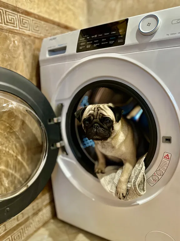 Апартаменты люкс на набережной Ялты