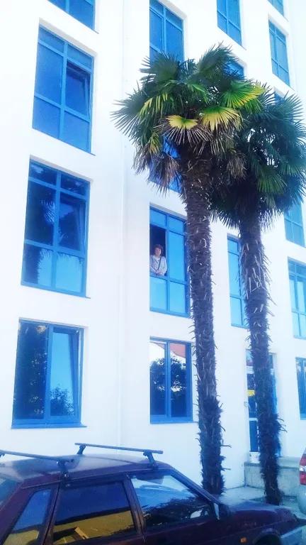 Квартира Квартира Уютная евродвушка недалеко от моря — Сириус