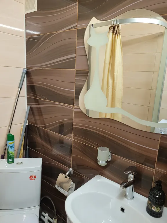 3-комнатная квартира с 2 с/у