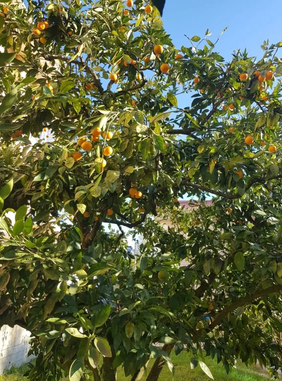 Квартира Квартира Дом у моря Даблрум люкс — Сириус