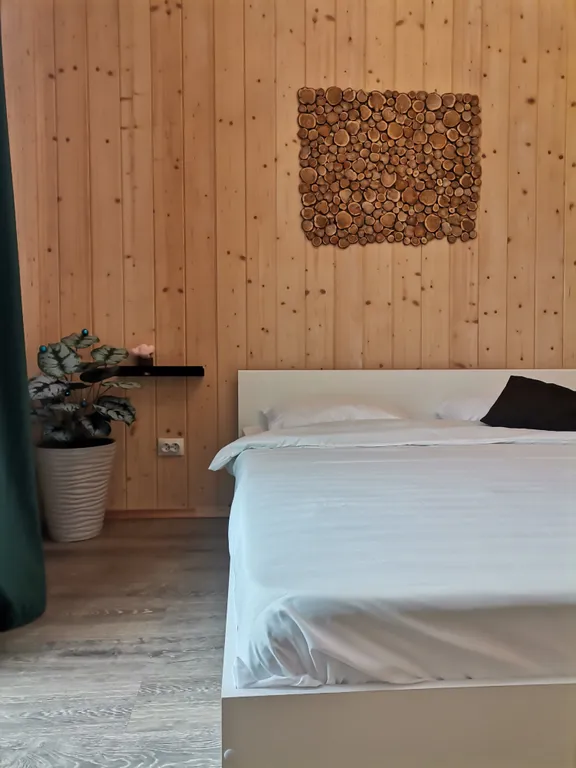 Дом у берёзы с баней в тихом месте возле леса и реки