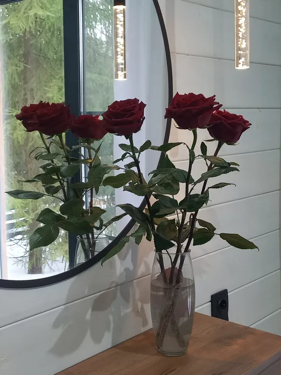 Дом Барин Лес