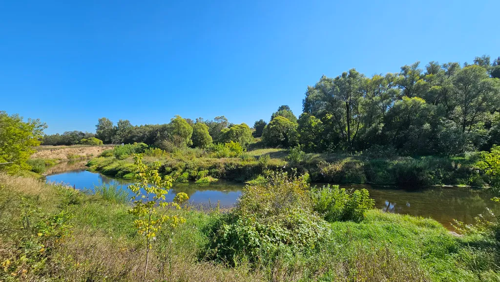 Коттедж Эко-Дом с Панорамными окнами на лес и террасой — Можайск