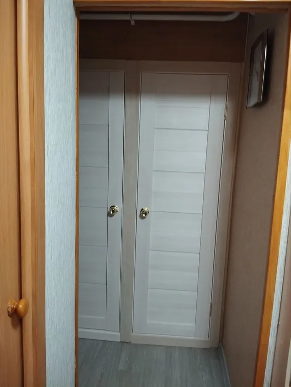 Квартира в живописном селе Большое Болдино