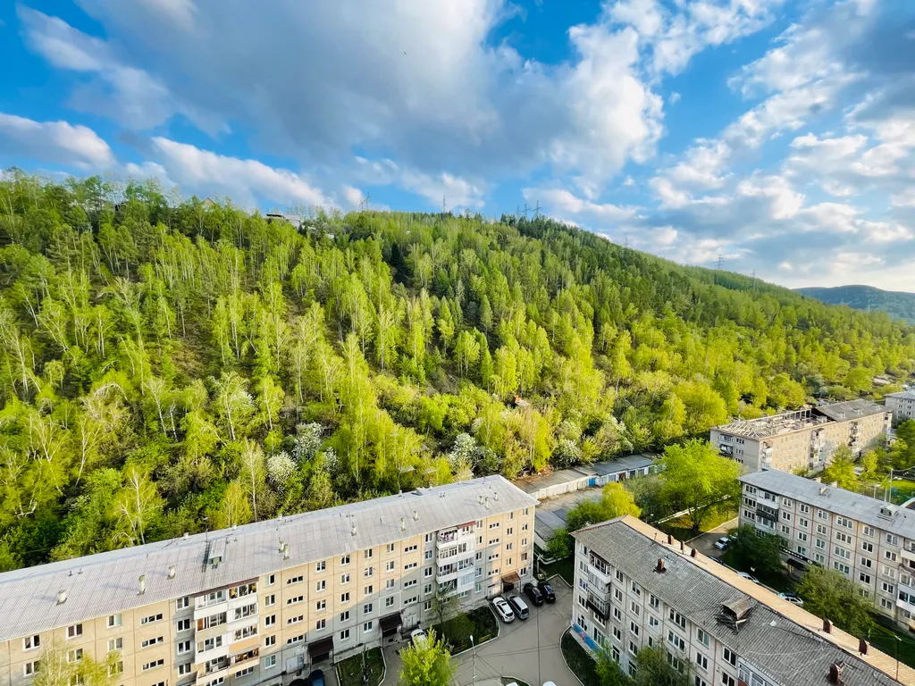 Стильная студия с видом на лес