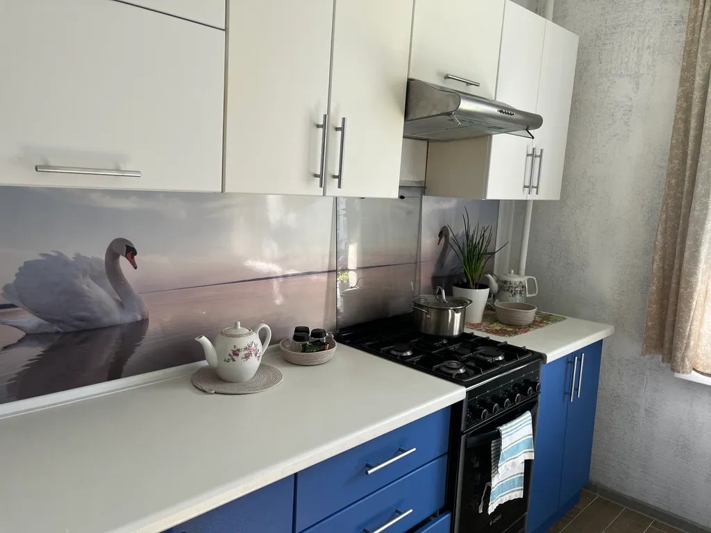 Посёлок имени Морозова квартира у Ладожского озера , каток