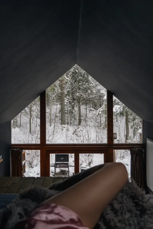 Дом с видом на лес