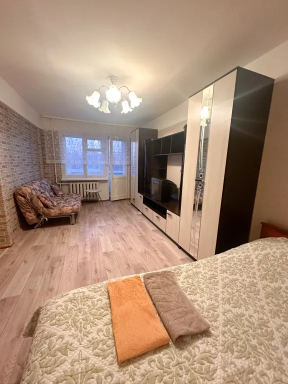 Уютная квартира в расширенном центре — аренда посуточно в Петрозаводск