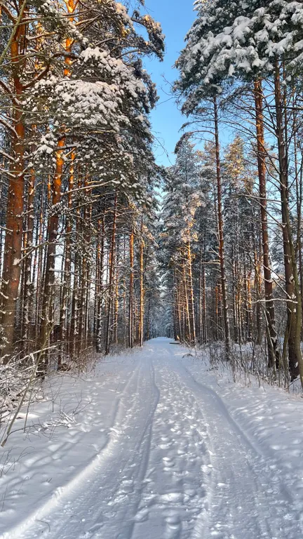 Дом с сауной и банным чаном