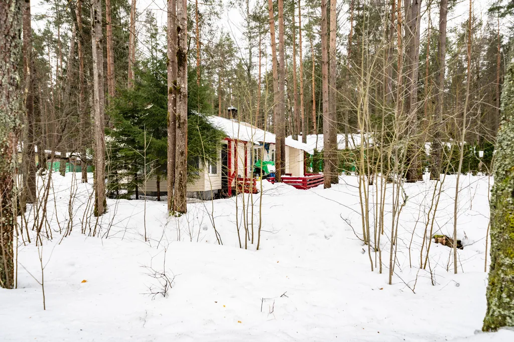 Коттедж Коттедж Уютная дача в литературной части — Санкт-Петербург