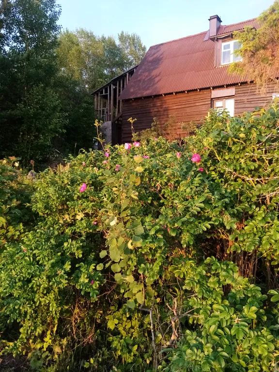 Домик с отдельным входом и красивым видом из окна со всеми удобствами