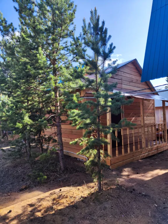 Уютный хвойный дом