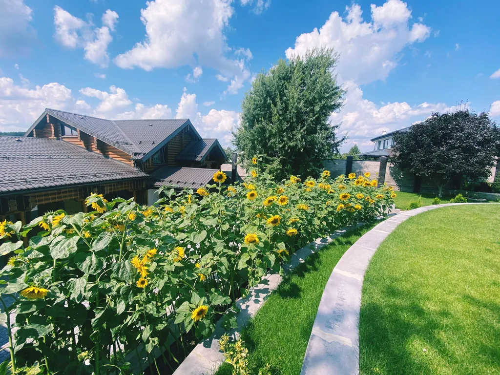 Эко Дом Русская банька