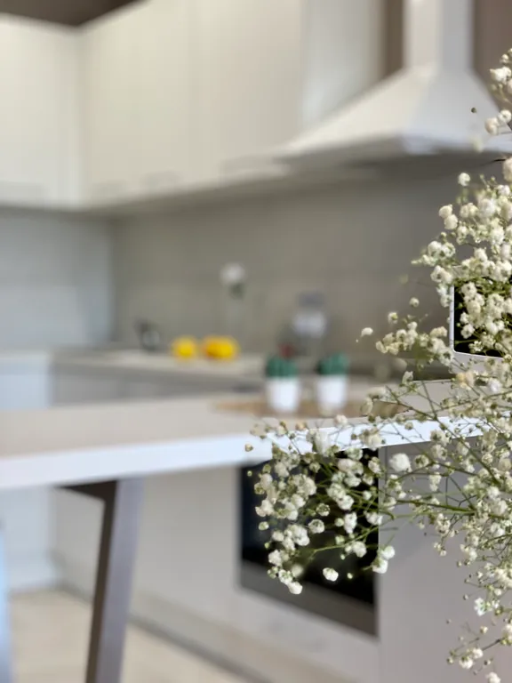 Апартаменты у Эспланады